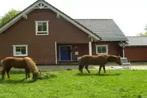 Privatzimmer im Schwedenhaus Unsere Kleine Farm, Monschau