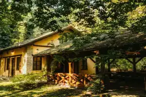 Forest House, Palich