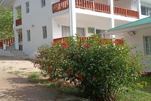 Blissful hill top Apartment, Anse Volbert Village