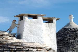 B&B Corso Trieste e Trento Mini-hotel, Alberobello