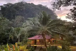 Khaosok Monkeys & River Camps, Khao Sok