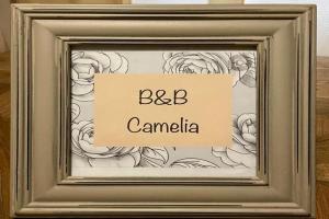 B&B Camelia Mini-hotel, Citta di Castello