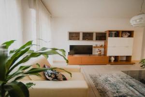 Alle Mura di Apartments, Verona