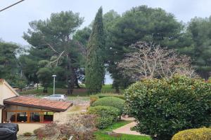 Apartment Dolores near Beach and Centre, Porec