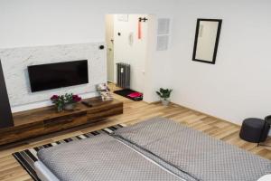 Nacional 3 apartman studio, Subotitsa