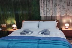 Casa D' Irene, Karpenision