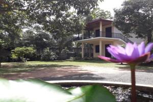 Blue Point Rest Guest house, Tangalle