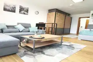 Moderne, 1-Zimmer Ferienwohnung mit Bergblick Apartments, Oy-Mittelberg
