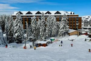 Woodside Residences & SPA Apartments, Kopaonik