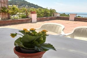 La Terrazza sul blu di Guest house, Capri Village