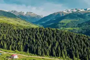 Gornyy dom LES i GORY Dinarsky Guest house, Karakol