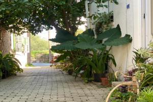 Grandmother's House, Famagusta