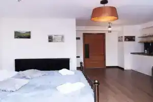 Bright Apartment in Marshall, Gudauri