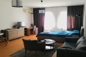 City Center Studio, Nis