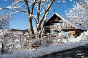 StrandBerg's Onkel Tommys Hütte Guest house, Braunlage