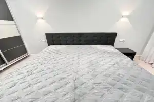 Green zone Apartment, Chisinau