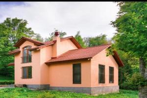 Dilijan Dream House! 3 Bedroom Amazing Villa in National Park!, Dilijan