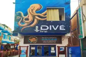 Dahab House Octopus apartment, Dahab