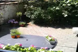 charming house with 3 bedrooms & terrace 10 minutes from city centre, Antwerp