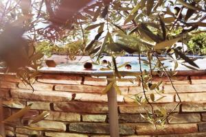 Villa La Pineta, Umbertide