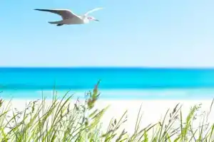 See-Lün Apartments, Westerland