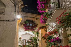 Eusebio's House, Cisternino