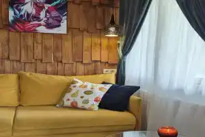 GONTA kottage, ChAN - DZhAKUZI terasa, vihid v gori Apartments, Slavskoye