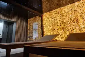 Wielka Krokiew Residence&SPA - - JACUZZI, SAUNA, TĘŻNIA SOLANKOWA, SPA, GRILL Apart-hotel, Zakopane