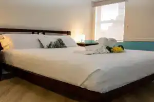 Lovely Studio Apartment in Downtown, Albany