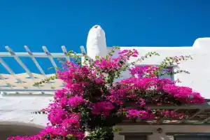 Spiti Georgia in village, Drios