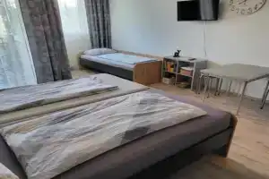 Steinhübel Uni-Nähe Apartments, Homburg