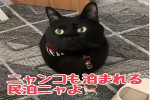 男性のみでの利用不可ーペット連れ歓迎 女性連れ専用ーotomari MUSUHIータイ古式マッサージや妊産婦ケアが受けられる 源泉掛け流し温泉側の宿 ドッグラン可 Mini-hotel, Takamatsu