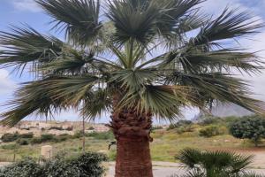 Appartamento Raggi di Sole Apartments, Custonaci