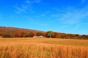 Fryars' Green at Tennessee RiverPlace Guest house, Chattanooga