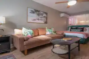 Stylish Updated Studio in - Hyde Park & UT, Tampa