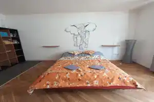 Elefántos Apartman, Kaposvar