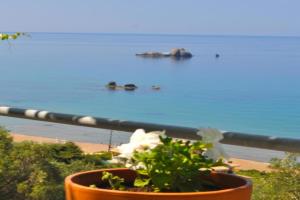 Luxury Loft Apartment with Pool - Beach, Corfu, Pelekas