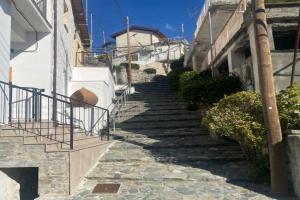 TheonikosHouse, Agros