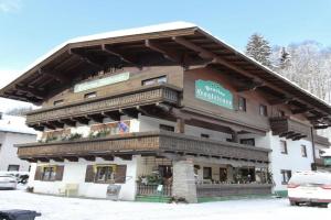 Studio in near Ski Slopes, Saalbach
