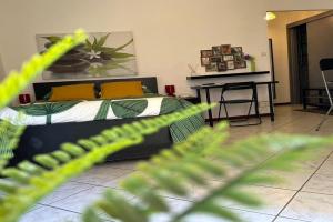 Studio Cosy & Zen centre, Hyeres