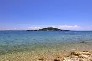 Beachfront Summer Oasis Apartments, Oltre