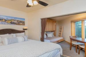Charming Studio w Kitchenette, Hot Tub Near River condo, Telluride