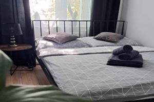 APARTAMENT FLOWERS -, Kielce