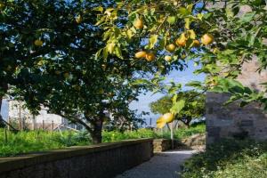 Domus Maresca Guest house, Piano di Sorrento