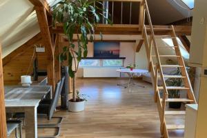 Helles und charmantes Loft mit herrlichem Blick Apartments, Dresden