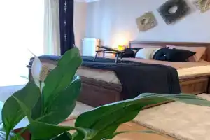 Tsentr (7). Poruch Ozero ta Park Apartments, Ternopil
