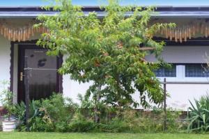 Reihenhaus in an der Spree Guest house, Lubben