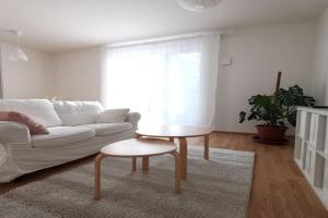 Gemütliches Privatzimmer in geräumiger Gemeinschaftswohnung Apartments, Dresden
