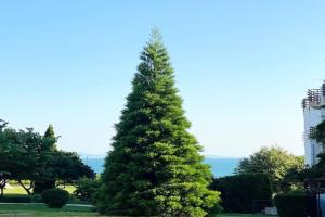 APARTELLO⊛com DIAMOND - private apartments near Marina Dinevi in, Sveti Vlas