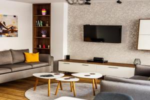 A Comfortable Base for Work & Life Apartments, Nis